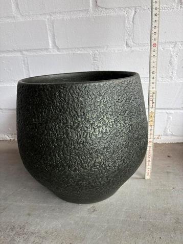 Mooie nette bloempot beschikbaar voor biedingen