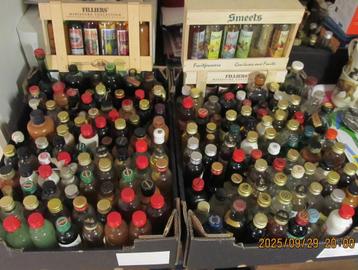 jenever miniatuurflesjes jenever  275 flesjes beschikbaar voor biedingen