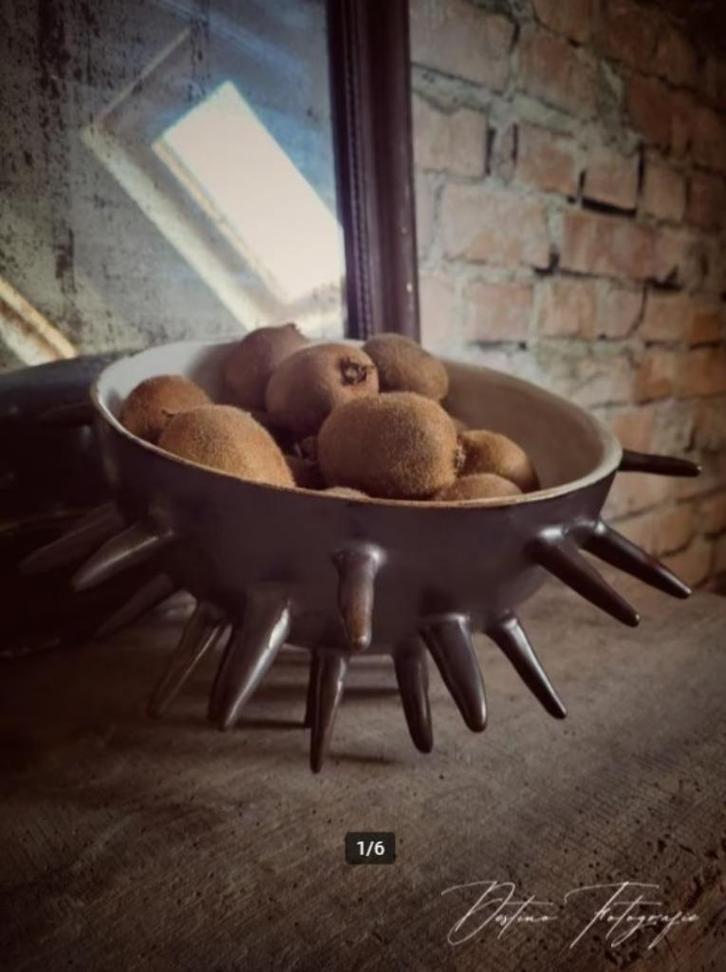 Handgemaakte grote Rebbel schaal met spikes keramiek, Antiek en Kunst, Kunst | Designobjecten, Ophalen of Verzenden