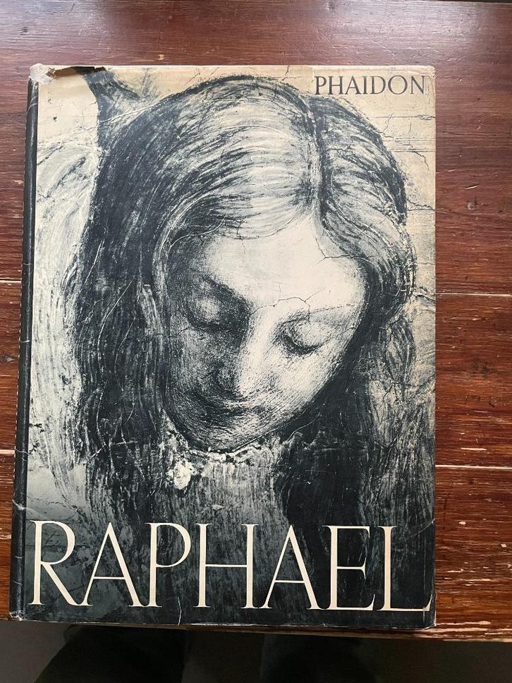 Raphael's paintings and drawings 1948, Boeken, Kunst en Cultuur | Beeldend, Gelezen, Schilder- en Tekenkunst, Ophalen of Verzenden
