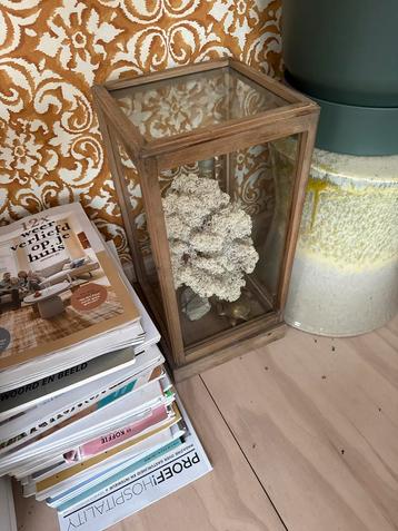 Glazen Vitrinekastje Hout beschikbaar voor biedingen