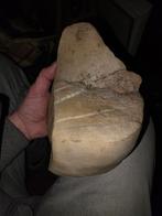 Neanderthaler artefact  2, Ophalen of Verzenden