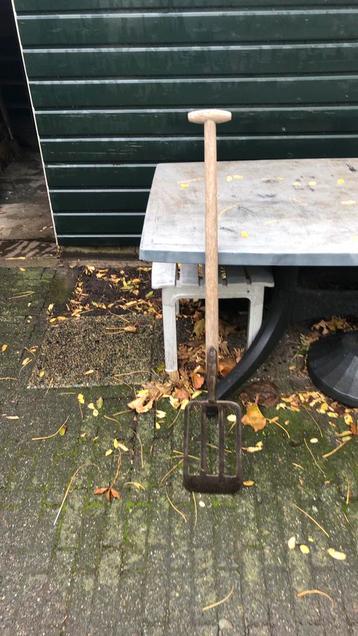 professionele spitschop beschikbaar voor biedingen