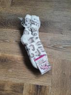 Nieuw sokken maat 35-42, Kleding | Dames, Sokken en Kousen, Nieuw, Sokken en Kniesokken, Ophalen
