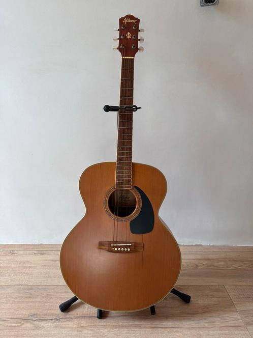 Alliance Akoestische Gitaar, Muziek en Instrumenten, Snaarinstrumenten | Gitaren | Akoestisch, Gebruikt, Western- of Steelstringgitaar