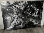 Groot tijger schilderij 98x136 in folie. Zie beschrijving, Schilderij, Ophalen of Verzenden, 125 cm of meer, Zo goed als nieuw
