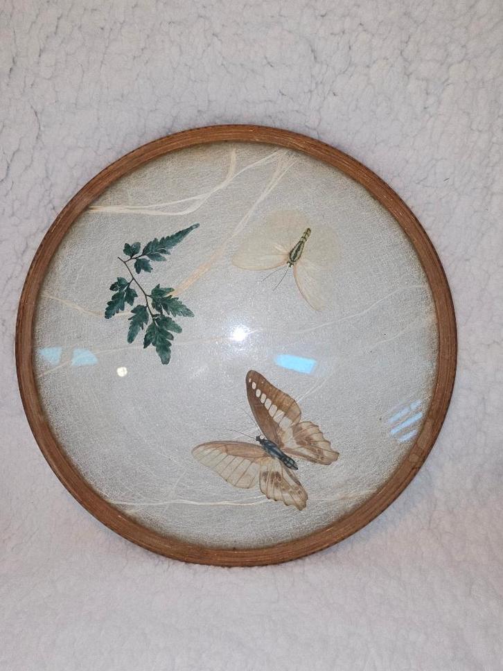 Glazen dienblad of onderzetter Vlinders, Huis en Inrichting, Woonaccessoires | Onderzetters, Zo goed als nieuw, Overig, Ophalen of Verzenden