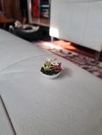 mini mundus miniaturen bloemen assorti in schaal, Verzamelen, Poppenhuizen en Toebehoren, Ophalen of Verzenden, Nieuw, Poppenhuis