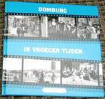 Domburg in vroeger tijden 2. P. Davidse. ISBN 9055342106., Ophalen of Verzenden, 20e eeuw of later, Zo goed als nieuw