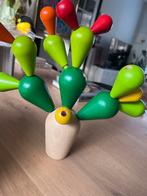 Plan Toys Balancing Cactus - Nieuwstaat, Ophalen of Verzenden, Zo goed als nieuw, Overige typen