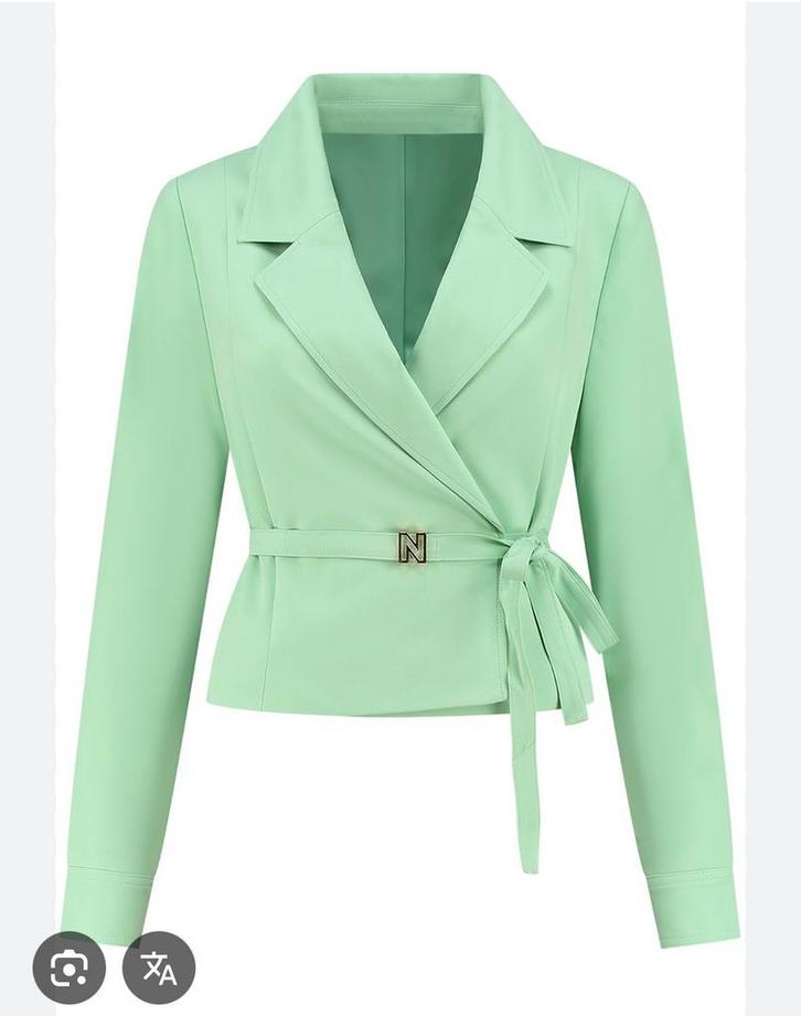 Nikkie mint groen jasje, Kleding | Dames, Jasjes, Kostuums en Pakken, Zo goed als nieuw, Maat 42/44 (L), Groen, Ophalen of Verzenden