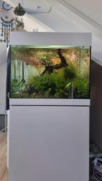 Oase styleline 85 set, Dieren en Toebehoren, Vissen | Aquaria en Toebehoren, Ophalen, Leeg aquarium