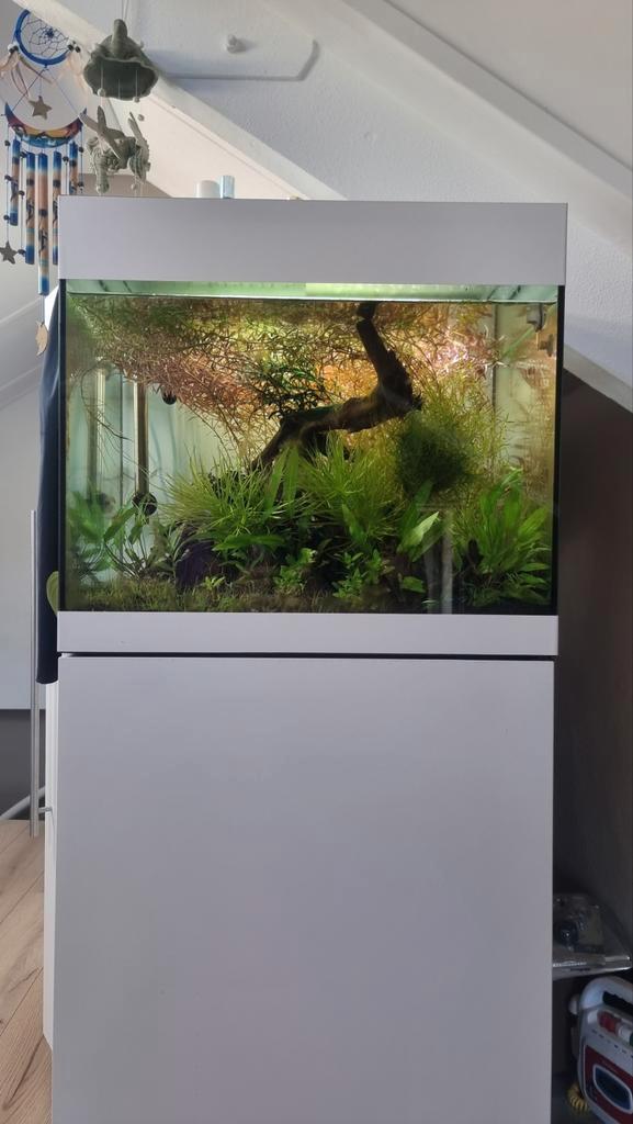 Oase styleline 85 set, Dieren en Toebehoren, Vissen | Aquaria en Toebehoren, Leeg aquarium, Ophalen