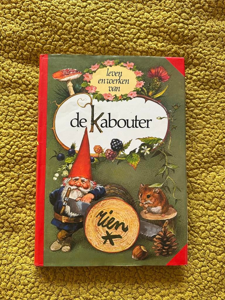 De kabouter van Rien Poortvliet, Boeken, Sprookjes en Fabels, Zo goed als nieuw, Verzenden