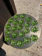 Nieuwe PTMD waxinelichtjes, Ophalen, Zo goed als nieuw, Overige materialen, Minder dan 25 cm