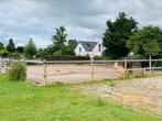 Verhuur stallen en weide pension pony. Plek voor twee ponys, Dieren en Toebehoren, Stalling en Weidegang, Weidegang, 2 of 3 paarden of pony's