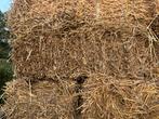Tarwe stro  2025, Dieren en Toebehoren, Dierenvoeding, Ophalen