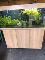 Juwel aquarium Rio 240 led, Dieren en Toebehoren, Vissen | Aquaria en Toebehoren, Ophalen, Zo goed als nieuw, Gevuld zoetwateraquarium