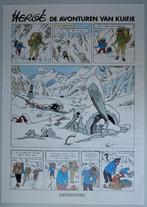 Affiche poster Hergé Tintin Kuifje in Tibet 50  70cm, Ophalen of Verzenden, A1 t/m A3, Overige onderwerpen, Rechthoekig Staand