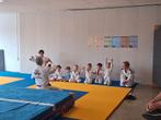 Judo en jiu jitsu in Roelofarendsveen, Contacten en Berichten, Sport en Hobby oproepen