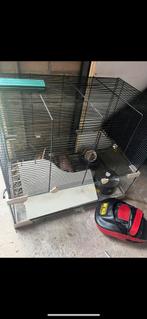 Hamster kooi, Dieren en Toebehoren, Kooi, Minder dan 75 cm, Zo goed als nieuw, Hamster
