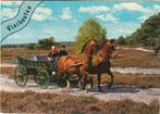 VIERHOUTEN Klederdracht Paard en Wagen, Verzenden, 1980 tot heden, Gelopen, Gelderland