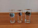 Duitse bierglazen - Lindau, Schwarzwald, Munstereifel, Glas of Glazen, Gebruikt, Ophalen of Verzenden, Glas