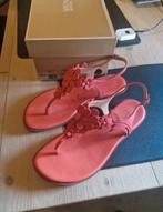 Michael kors sandalen, Kleding | Dames, Roze, Gedragen, Sandalen of Muiltjes, Ophalen of Verzenden