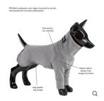Recovery Shirt for Dogs , Maat 35 of 55 , Nieuw !, Dieren en Toebehoren, Hondenkleding, Nieuw, Ophalen of Verzenden, Overige hondenkleding