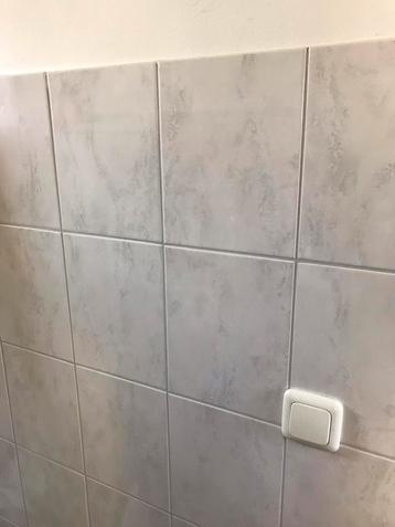 Wandtegels Cinca 20x25cm beschikbaar voor biedingen