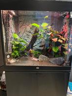 Juwel Lido 200 + onderkast & Eheim apparatuur. Nieuw €1650,-, Dieren en Toebehoren, Vissen | Aquaria en Toebehoren, Ophalen, Zo goed als nieuw