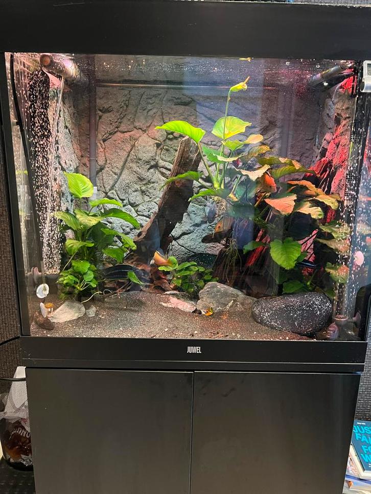 Juwel Lido 200 + onderkast & Eheim apparatuur. Nieuw €1650,-, Dieren en Toebehoren, Vissen | Aquaria en Toebehoren, Zo goed als nieuw