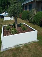 Metalen plantenbakken, Minder dan 60 cm, Nieuw, Ophalen of Verzenden, Metaal