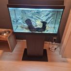 Juwel.60 liter aquarium compleet., Dieren en Toebehoren, Vissen | Aquaria en Toebehoren, Ophalen, Zo goed als nieuw, Leeg aquarium