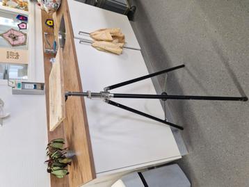 Van De Hazelaar beschikbaar voor biedingen