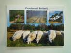 Groeten uit Eerbeek schaap schapen, Verzenden, 1960 tot 1980