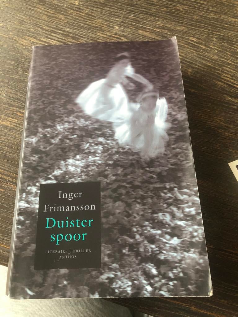 Duister Spoor - Inger Frimansson, Ophalen of Verzenden, Zo goed als nieuw, Nederland