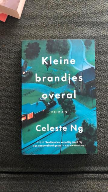 Celeste Ng - Kleine brandjes overal beschikbaar voor biedingen
