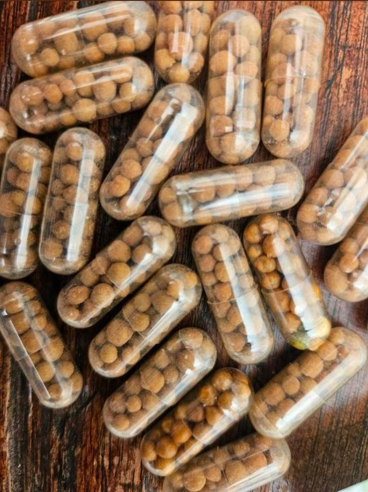 Bodemcapsules aquariumplantenvoeding 25stks roottabs, Dieren en Toebehoren, Vissen | Aquaria en Toebehoren, Nieuw, Plant(en), Steen of Hout