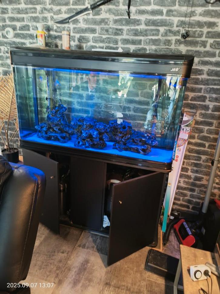 Mooie jad AQUARIUM  compleet met vissen, Dieren en Toebehoren, Vissen | Aquaria en Toebehoren, Zo goed als nieuw, Gevuld zoetwateraquarium