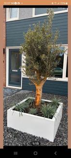 Metalen plantenbakken  100x100x40 AKTIEPRIJS, Tuin en Terras, Bloembakken en Plantenbakken, Ophalen of Verzenden, Nieuw, Metaal