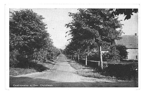 901619	Oostvoorne aan Zee	ZH jr 50 60	Duinlaan	Gelopen met p, Verzamelen, Ansichtkaarten | Nederland, Gelopen, Zuid-Holland, 1940 tot 1960