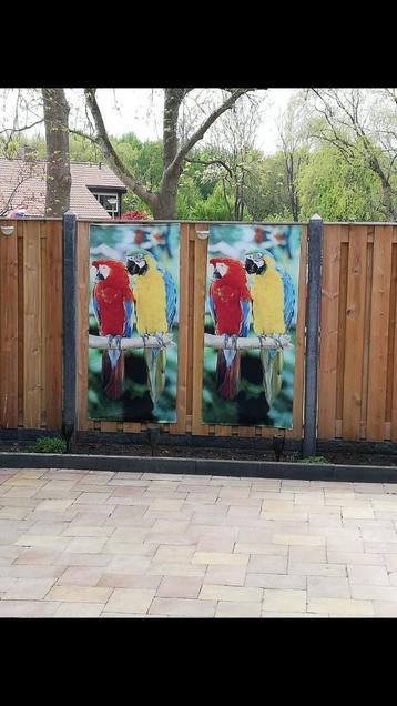 ✅ Decoratie doeken Papegaai / Ara 200x70cm NIEUW beschikbaar voor biedingen