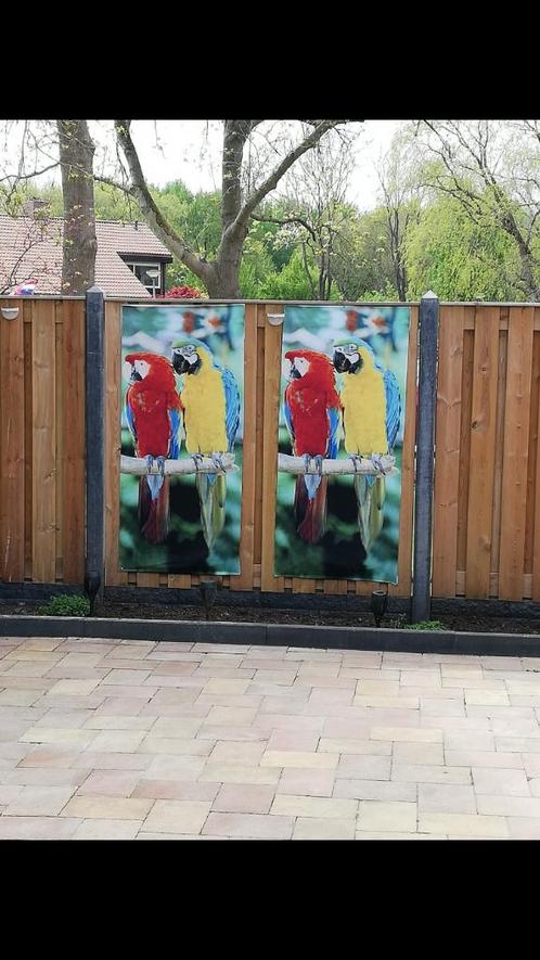 ✅ Decoratie doeken Papegaai / Ara 200x70cm NIEUW, Tuin en Terras, Tuinwanddecoratie, Nieuw, Ophalen of Verzenden