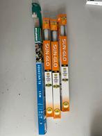 TL buis aquarium 80cm - Daglicht, Minder dan 30 watt, Overige typen, Nieuw, Bipin of Steekvoet