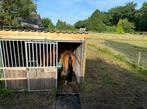 Stalwand in prima staat, Dieren en Toebehoren, Stalling en Weidegang