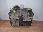 Hamsterkooi, Dieren en Toebehoren, Knaagdieren en Konijnen | Hokken en Kooien, Kooi, Gebruikt, Minder dan 75 cm, Hamster