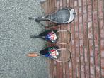 Squashrackets, Sport en Fitness, Squash, Ophalen, Gebruikt, Racket, Met hoes