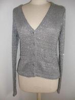HEMA vest grijs zilveren pailletten maat S, Maat 38/40 (M), Ophalen of Verzenden, Zo goed als nieuw, Grijs