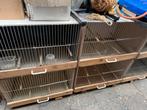Complete broedhok., Ophalen, Zo goed als nieuw, Hout, Broedkooi of Kweekkooi